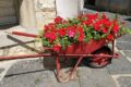 Orsara di Puglia si colora di fiori e prepara la festa più attesa dell'anno